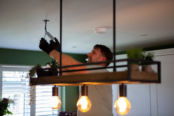 Best Electrician for Home Renovation  in Savanna, IL